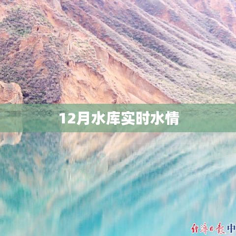 水库实时水情报告，最新数据尽在掌握