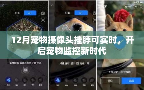 宠物摄像头挂脖实时监控，守护爱宠新时代