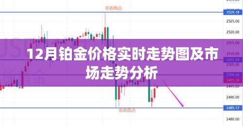 12月铂金价格实时走势图与深度市场分析