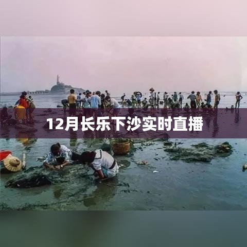 长乐下沙12月实时直播现场