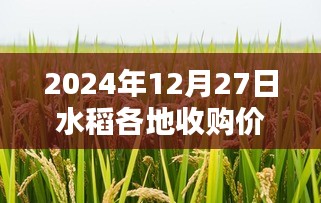 水稻各地收购价实时更新（最新日期，2024年12月27日）