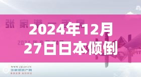 2024年12月 第8页