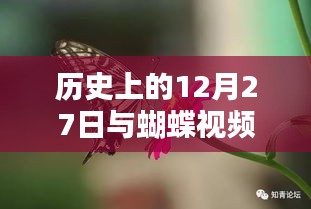 历史上的12月27日与蝴蝶视频热门事件回顾