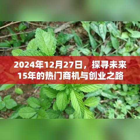 未来十五年热门商机与创业之路探寻，2024年展望