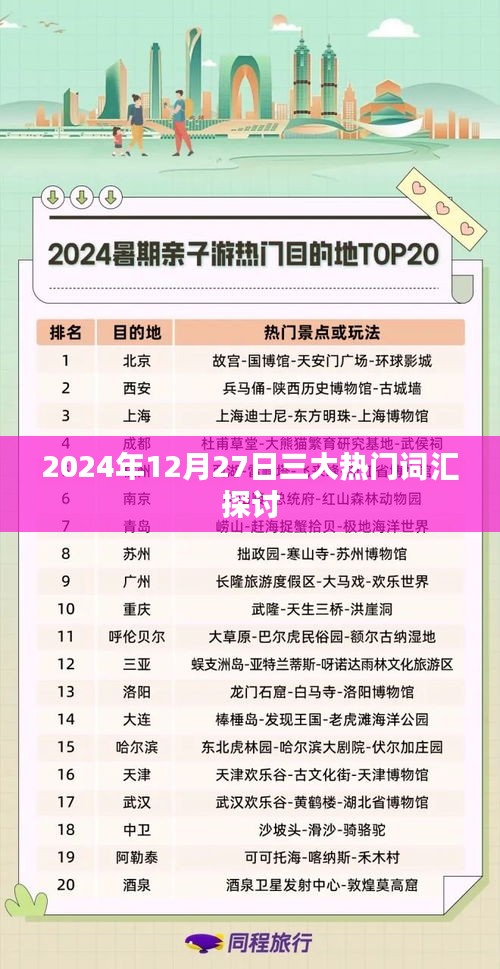 2024年12月热门词汇深度探讨