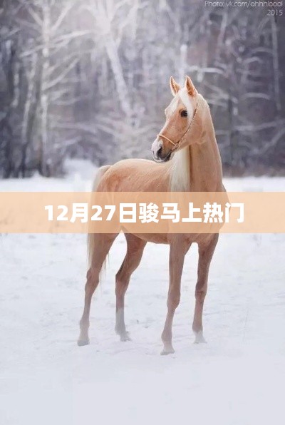 12月27日骏马成热门焦点