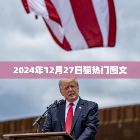 猫热门资讯，揭秘2024年猫界新风尚