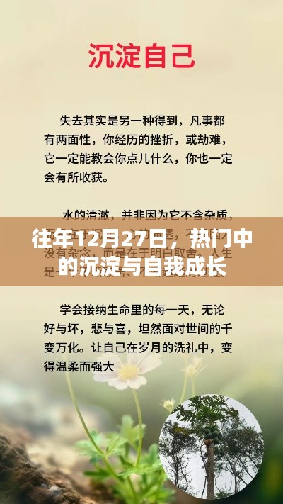 年终沉淀与自我成长，回望12月27日的成长印记