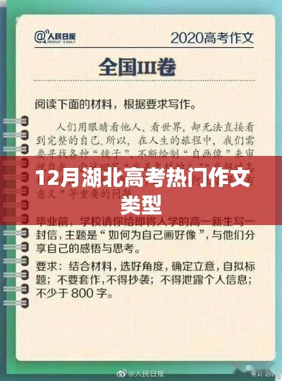 湖北高考热门作文类型解析