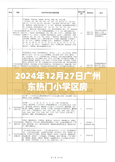 广州东热门小学区房市场趋势分析 2024年展望