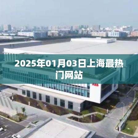 『2025年1月上海热门网站一览』