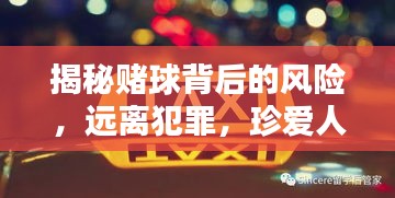 揭秘赌球背后的风险，远离犯罪，守护人生安全