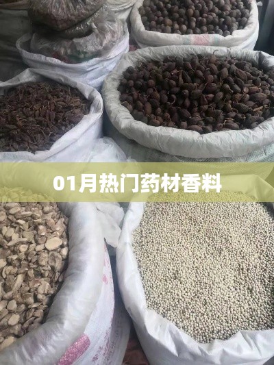 热门药材香料大盘点，一月精选榜单