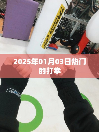 2025年热门拳赛盛宴，打拳盛宴即将开启