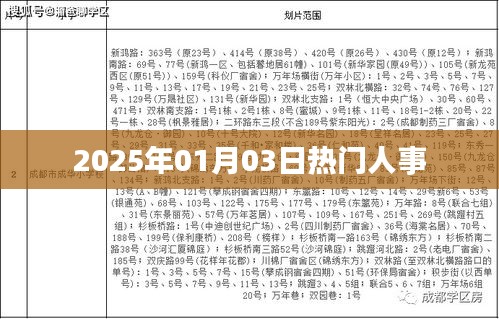 2025年人事风云变幻，职场热点人物盘点