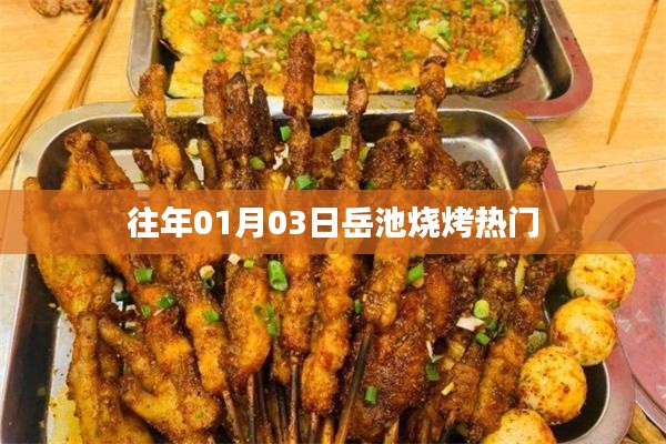 岳池烧烤元旦人气火爆，美食盛宴开启！