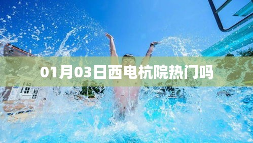 01月03日西电杭院关注度解析