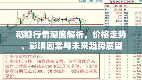 稻糠行情深度解析，价格走势、影响因素与未来趋势展望