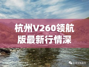 杭州V260领航版最新行情深度解析