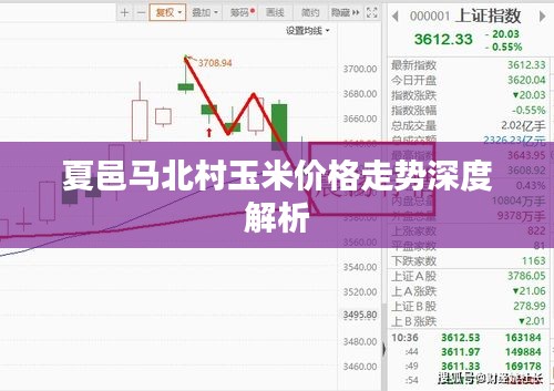 夏邑马北村玉米价格走势深度解析