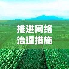 推进网络治理措施落实，网络治理建议 