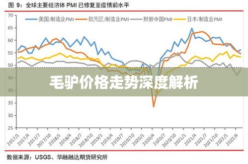 毛驴价格走势深度解析