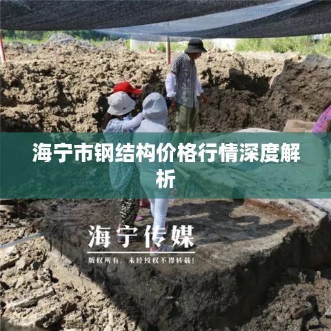 海宁市钢结构价格行情深度解析