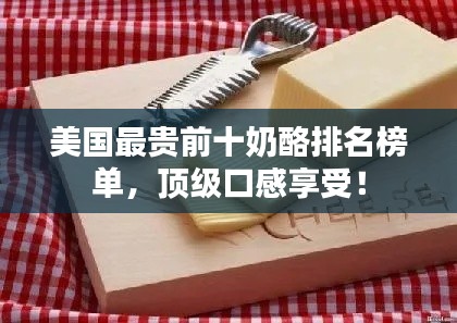 美国最贵前十奶酪排名榜单，顶级口感享受！