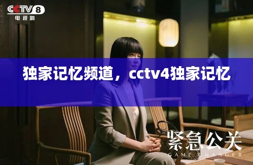 独家记忆频道，cctv4独家记忆 