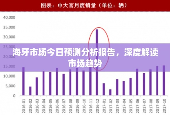 海牙市场今日预测分析报告，深度解读市场趋势