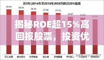 揭秘ROE超15%高回报股票，投资优选之选