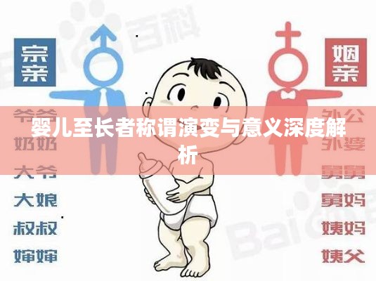 婴儿至长者称谓演变与意义深度解析