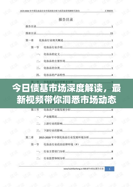 今日债基市场深度解读，最新视频带你洞悉市场动态与投资趋势