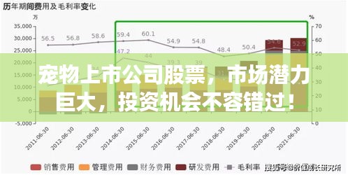 宠物上市公司股票，市场潜力巨大，投资机会不容错过！