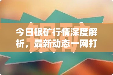 今日银矿行情深度解析，最新动态一网打尽