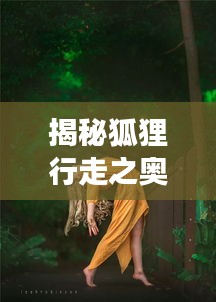 揭秘狐狸行走之奥秘，自然界的优雅舞者展现风采