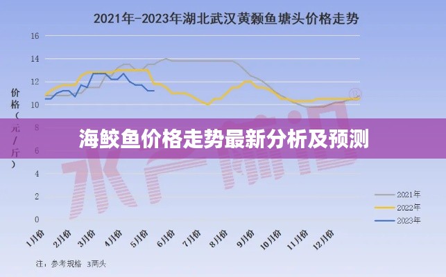 海鲛鱼价格走势最新分析及预测