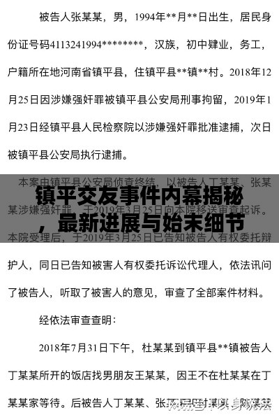 镇平交友事件内幕揭秘，最新进展与始末细节曝光