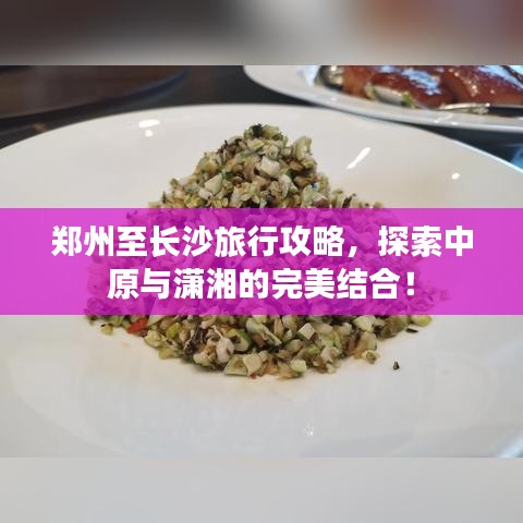 郑州至长沙旅行攻略，探索中原与潇湘的完美结合！