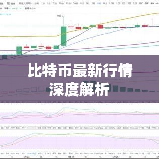 比特币最新行情深度解析