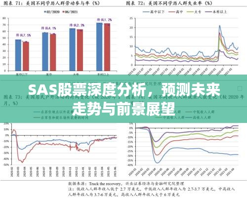 SAS股票深度分析，预测未来走势与前景展望