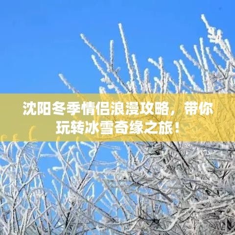 沈阳冬季情侣浪漫攻略，带你玩转冰雪奇缘之旅！