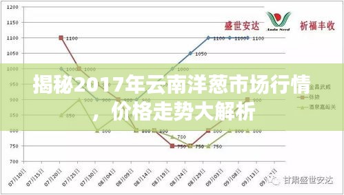 揭秘2017年云南洋葱市场行情，价格走势大解析