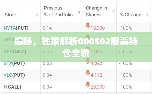 揭秘，独家解析000502股票持仓全貌