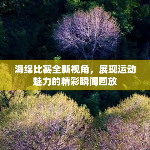 海绵比赛全新视角，展现运动魅力的精彩瞬间回放