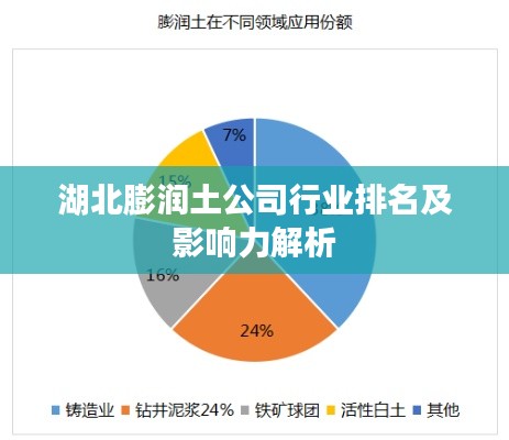 湖北膨润土公司行业排名及影响力解析