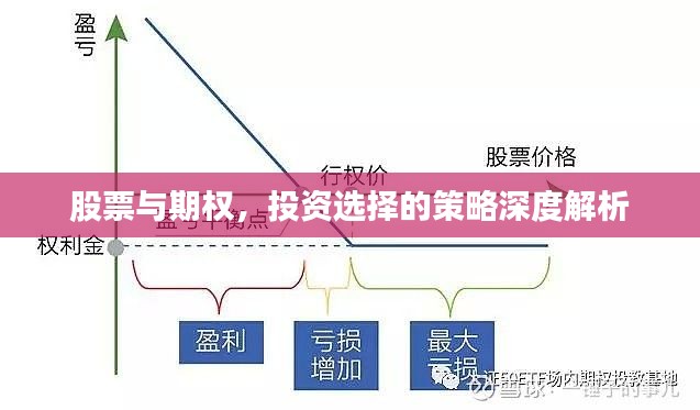 股票与期权，投资选择的策略深度解析