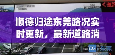 顺德归途东莞路况实时更新，最新道路消息与塞车深度解析