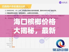 海口槟榔价格大揭秘，最新行情分析报告