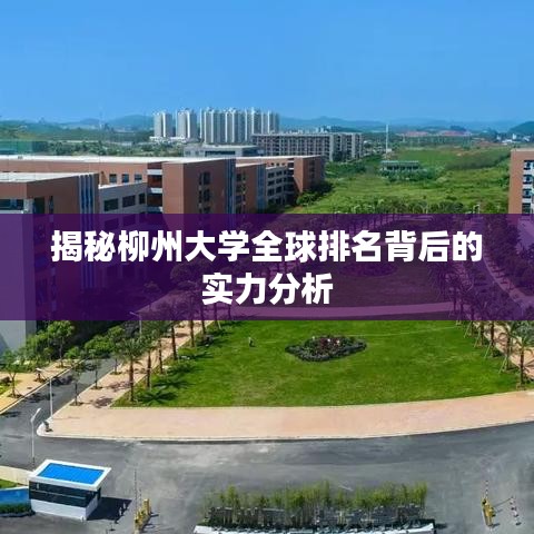 揭秘柳州大学全球排名背后的实力分析